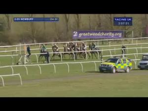 Video preview image for Newbury 15:05 - Sri Lanka Welcomes You Handicap Hurdle