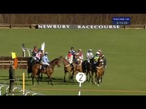 Video preview image for Newbury 16:10 - Sri Lanka: Something For Everyone 'National Hunt' Novices' Hurdle