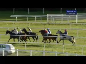 Video preview image for Newbury 16:45 - Amazing Sri Lanka Novices' Limited Handicap Chase