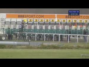Video preview image for Kempton Park 16:00 - Molson Coors Maiden Stakes