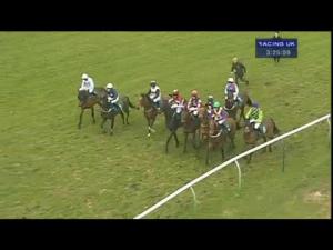 Video preview image for Warwick 15:25 - Local Parking Security Ltd Handicap Chase