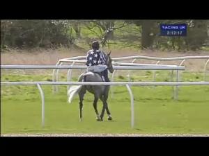 Video preview image for Huntingdon 14:10 - Shoreclean Ventilation Ductwork Cleaning 'National Hunt' Novices' Hurdle