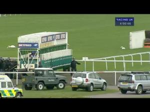 Video preview image for Kempton Park 16:00 - Betfred Supports Jack Berry House Fillies' Conditions Stakes