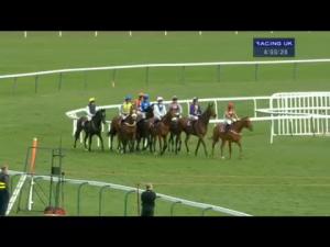 Video preview image for Haydock Park 16:55 - 888Sport Standard Open NH Flat Race