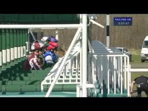 Video preview image for Musselburgh 14:55 - Totequadpot Four Places In Four Races Handicap