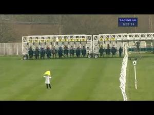 Video preview image for Catterick Bridge 17:20 - Racing Again 22nd April Apprentice Handicap
