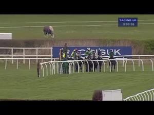 Video preview image for Kelso 15:00 - Langdale Bloodstock Handicap Hurdle (Div 1)