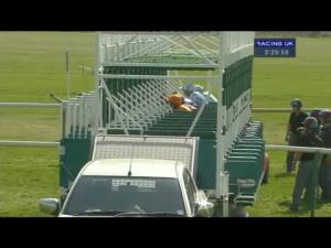 Video preview image for Newmarket 14:20 - EBF Stallions Ngk Spark Plugs Conditions Stakes (Plus 10)