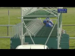 Video preview image for Newmarket 15:30 - Csp European Free Handicap (Listed)