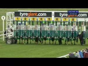 Video preview image for Beverley 16:15 - Audrey Mary Kettlewell Memorial Handicap