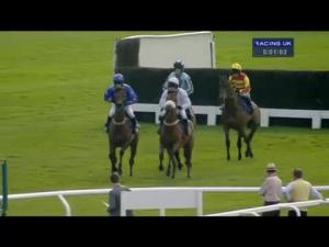 Video preview image for Cheltenham 17:00 - Weatherite Novices' Chase
