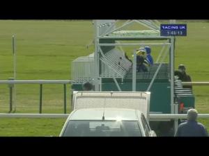 Video preview image for Newmarket 13:45 - Montaz Restaurant EBF Stallions Maiden Fillies' Stakes (Plus 10)