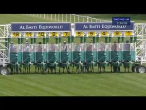 Video preview image for Newbury 14:20 - Al Basti Equiworld EBF Stallions Maiden Stakes (Plus 10)