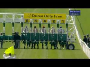 Video preview image for Newbury 14:50 - Dubai Duty Free Golf World Cup EBF Stallions Conditions Stakes