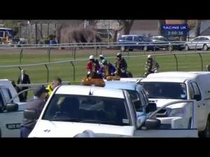 Video preview image for Ayr 14:00 - Jordan Electrics Ltd Future Champion Novices' Chase (Grade 2)