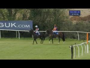 Video preview image for Wincanton 17:10 - Collect Points, Go Racing With Rewards4racing Standard Open NH Flat Race