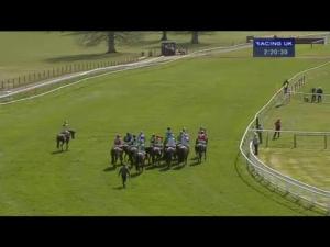Video preview image for Perth 14:20 - Aberdeen Asset Management Plc Maiden Hurdle