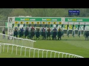 Video preview image for Sandown Park 13:30 - Bet365 Esher Cup (Handicap)