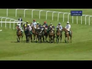 Video preview image for Sandown Park 14:00 - Bet365 Juvenile Handicap Hurdle