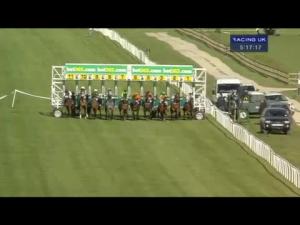 Video preview image for Wetherby 17:15 - Bingo At Bet365 Handicap