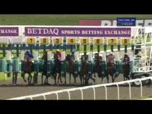 Video preview image for Kempton Park 13:40 - betdaq.com 20 Free Bet Maiden Stakes