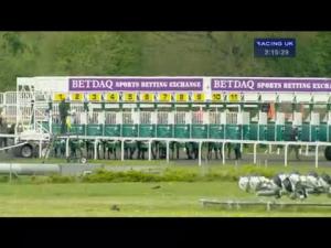 Video preview image for Kempton Park 14:15 - Cash Out On The Betdaq+ App EBF Maiden Stakes