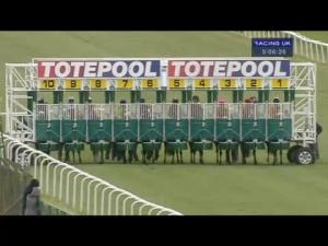 Video preview image for Thirsk 17:05 - Toteexacta Pick The 1st and 2nd Maiden Stakes