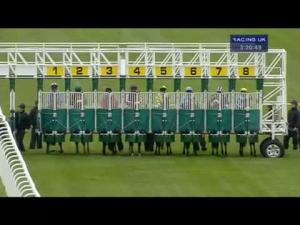 Video preview image for Hamilton Park 15:20 - Superseal Handicap