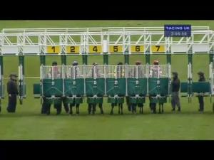 Video preview image for Hamilton Park 15:55 - EBF Stallions Tangerine Trees Conditions Stakes