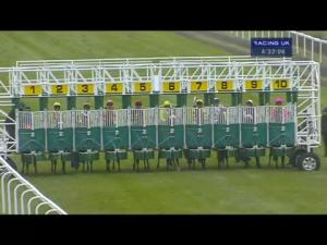 Video preview image for Hamilton Park 16:30 - Sodexo Open Maiden Stakes