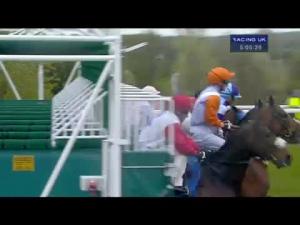 Video preview image for Hamilton Park 17:05 - Braveheart Night With Big Vern Handicap