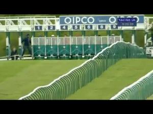 Video preview image for Newmarket 17:25 - Qatar Racing Handicap
