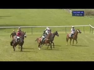 Video preview image for Warwick 13:45 - Follow Us On Twitter Starsports_bet Novices' Handicap Chase