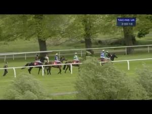 Video preview image for Kempton Park 14:00 - betdaq.com 20 Free Bet Novices' Chase