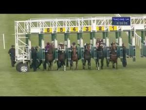 Video preview image for Catterick Bridge 18:30 - Racing UK Anywhere Available Now Claiming Stakes