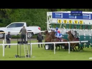 Video preview image for Haydock Park 14:15 - Pertemps Network Handicap