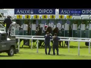 Video preview image for Ascot 14:35 - Carey Group Buckhounds Stakes (Listed)