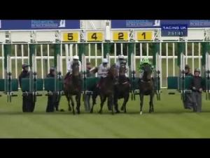 Video preview image for Haydock Park 14:50 - Pertemps Network Conditions Stakes