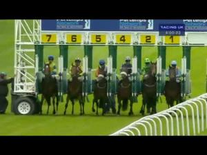 Video preview image for Haydock Park 16:00 - Pertemps Network Spring Trophy Stakes (Listed)