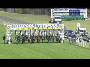 Video preview image for Ascot 16:20 - Totepool Racing's Biggest Supporter Maiden Stakes (Plus 10)
