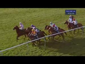 Video preview image for Warwick 18:55 - Whites - For Aggregate and Top Soil Handicap Hurdle