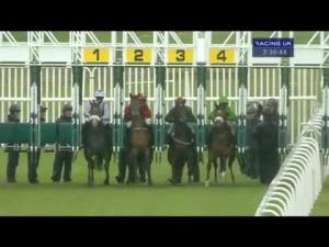 Video preview image for Musselburgh 14:30 - British Stallion Studs EBF Median Auction Stakes