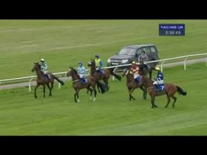 Video preview image for Wincanton 14:35 - Walking The Courses Handicap Chase