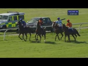Video preview image for Wincanton 16:05 - Bathwick Tyres Novices' Chase