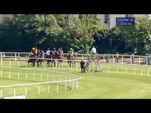 Video preview image for Kempton Park 15:35 - Racing UK 1 Price 3 Devices Handicap Hurdle
