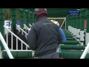 Video preview image for York 14:40 - Betfred Middleton Stakes (Fillies' Group 2)