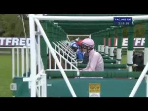 Video preview image for York 15:15 - Betfred Dante Stakes (Group 2)