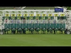 Video preview image for York 16:20 - British Stallion Studs EBF Westow Stakes (Listed)