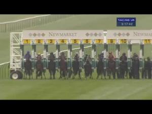 Video preview image for Newmarket 17:15 - Homestore and Safepac Maiden Auction Stakes