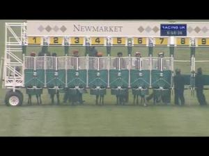 Video preview image for Newmarket 18:55 - Chassis Cab Daf Handicap